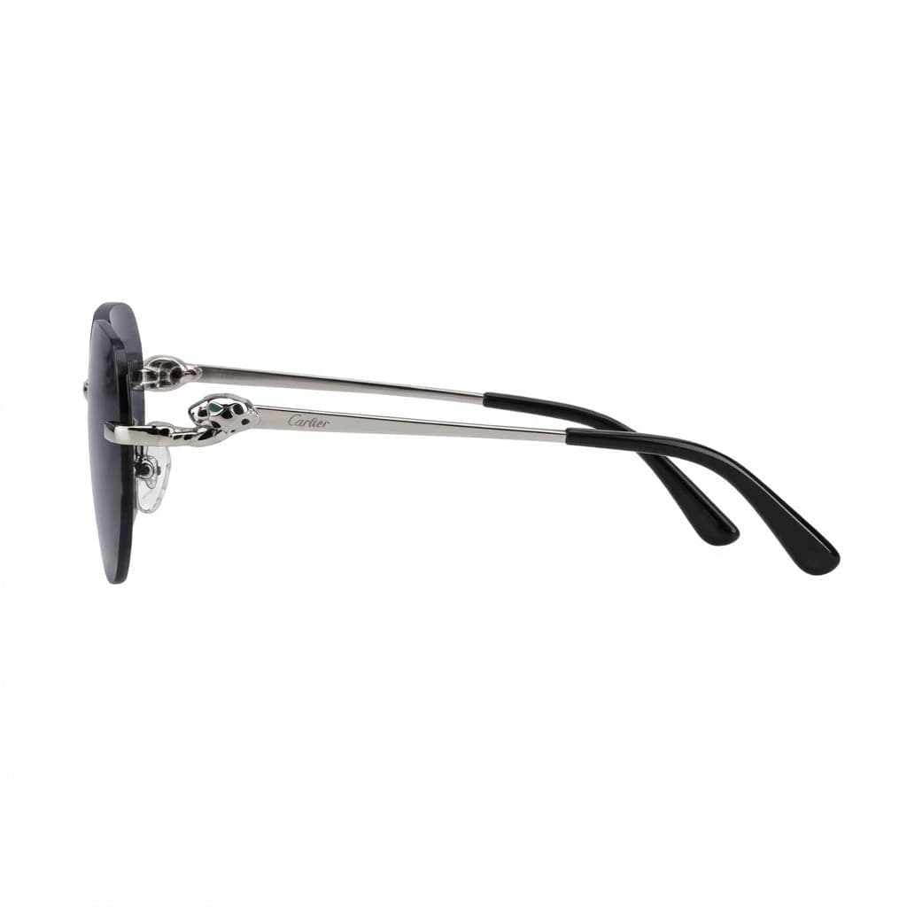 Cartier Sunglasses Pasha de Cartier CT0403S – Dark Lenses