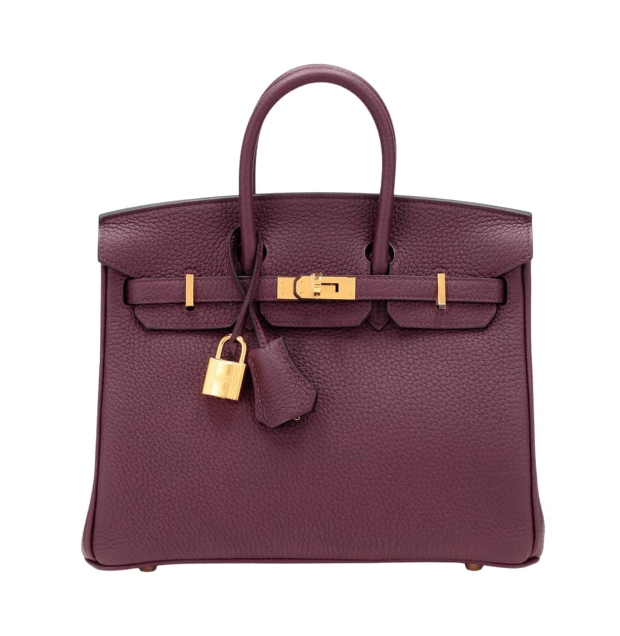 Hermès Birkin Bag Violet Togo