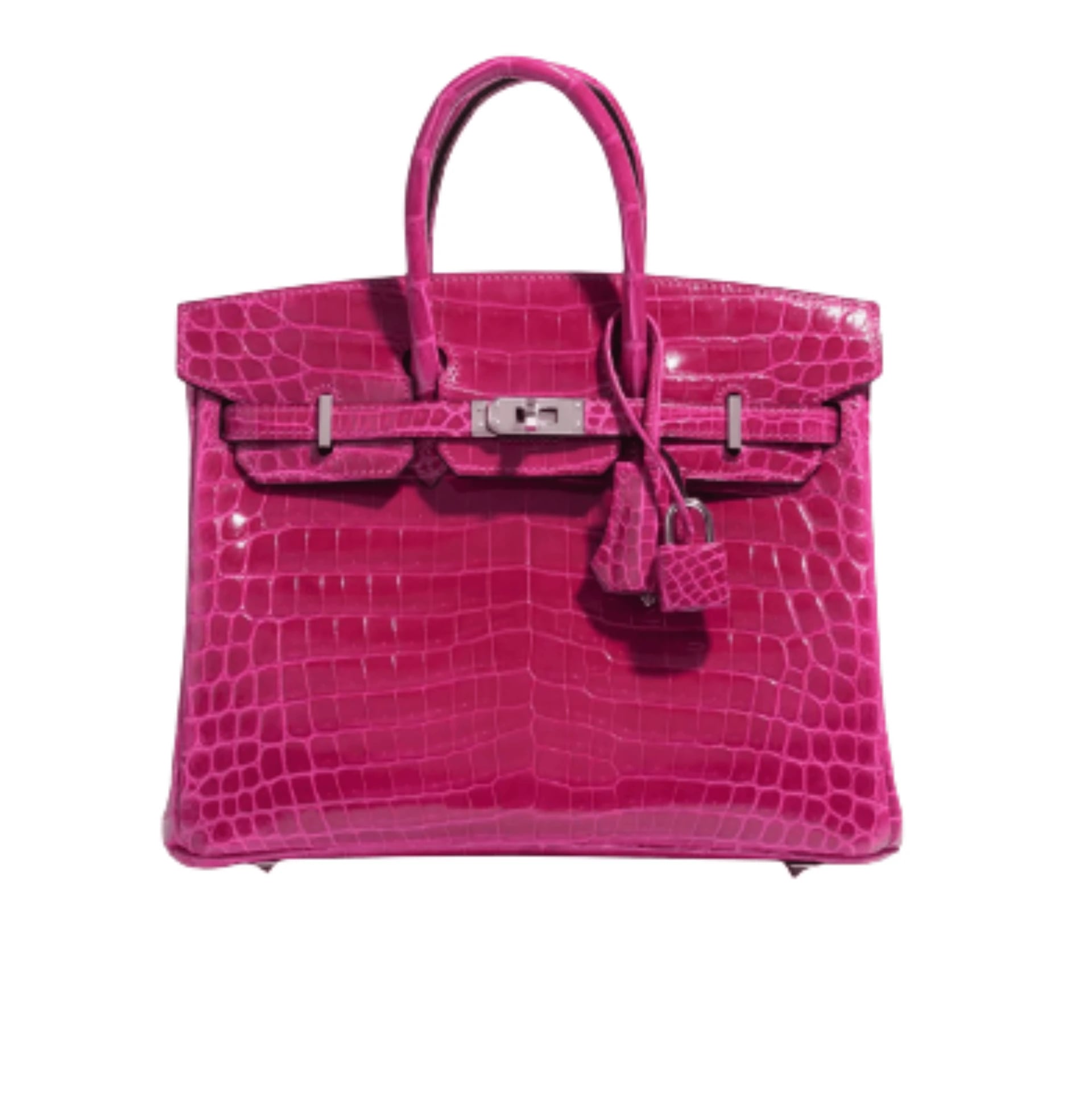 Hermès Birkin Croc (GEN-4F629489)
