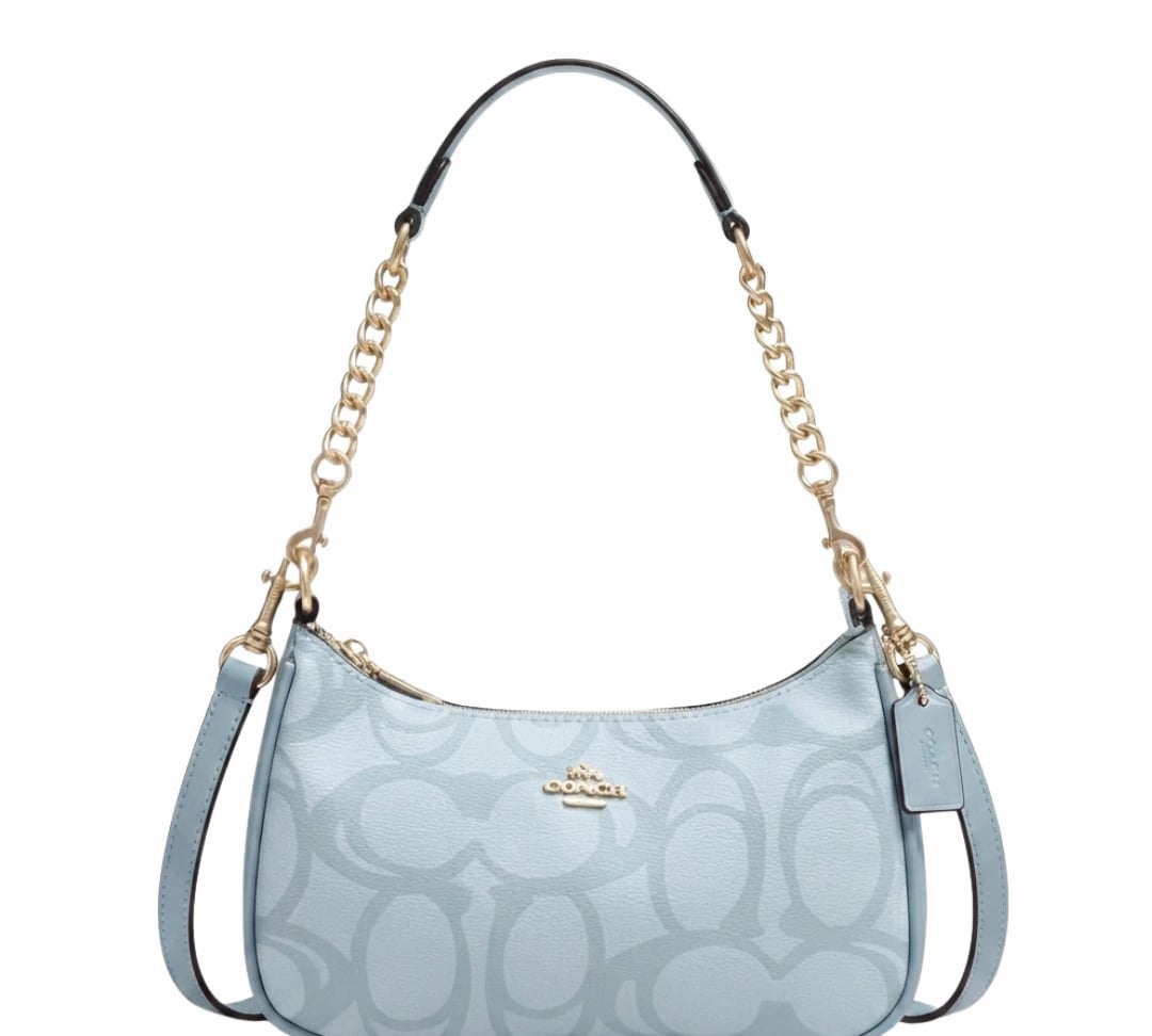 Coach Teri 24 Bag (BAG-COA-003)