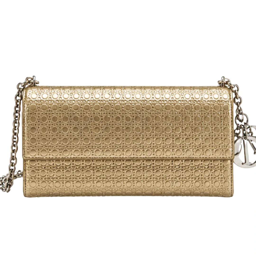 Dior Promenade Pouch (GEN-EBA1C160)