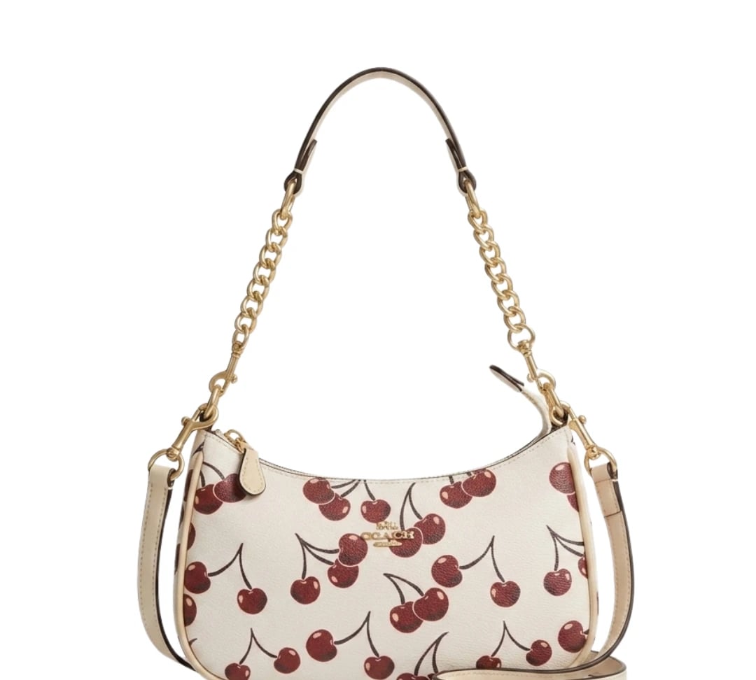 Coach Dedoo Cherry Print Bag