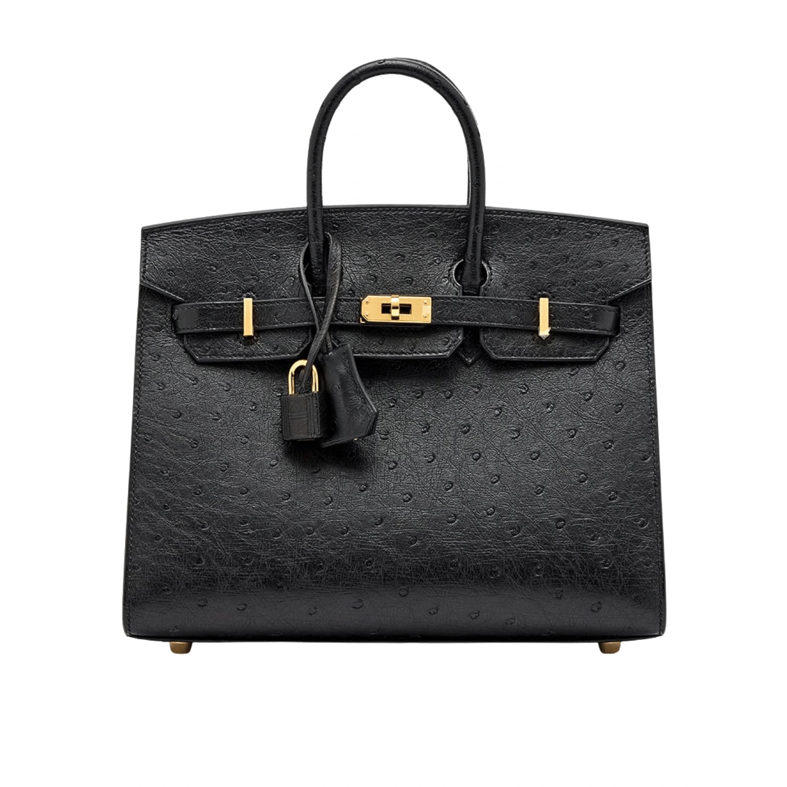 Hermès Birkin (GEN-6A703A5D)