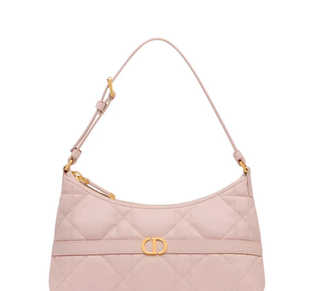 Dior Caro Bag