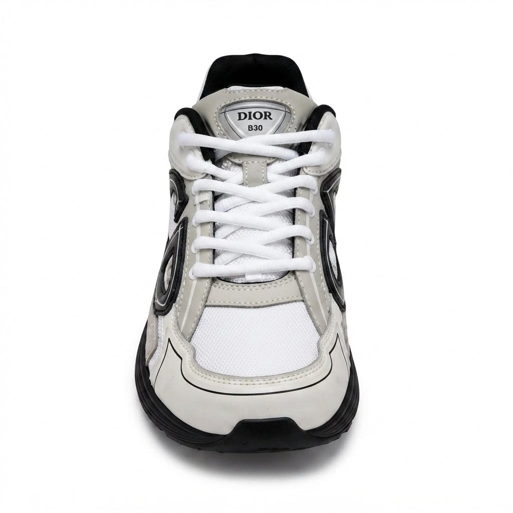 Dior B30 Sneakers (SH-DIO-056-36)