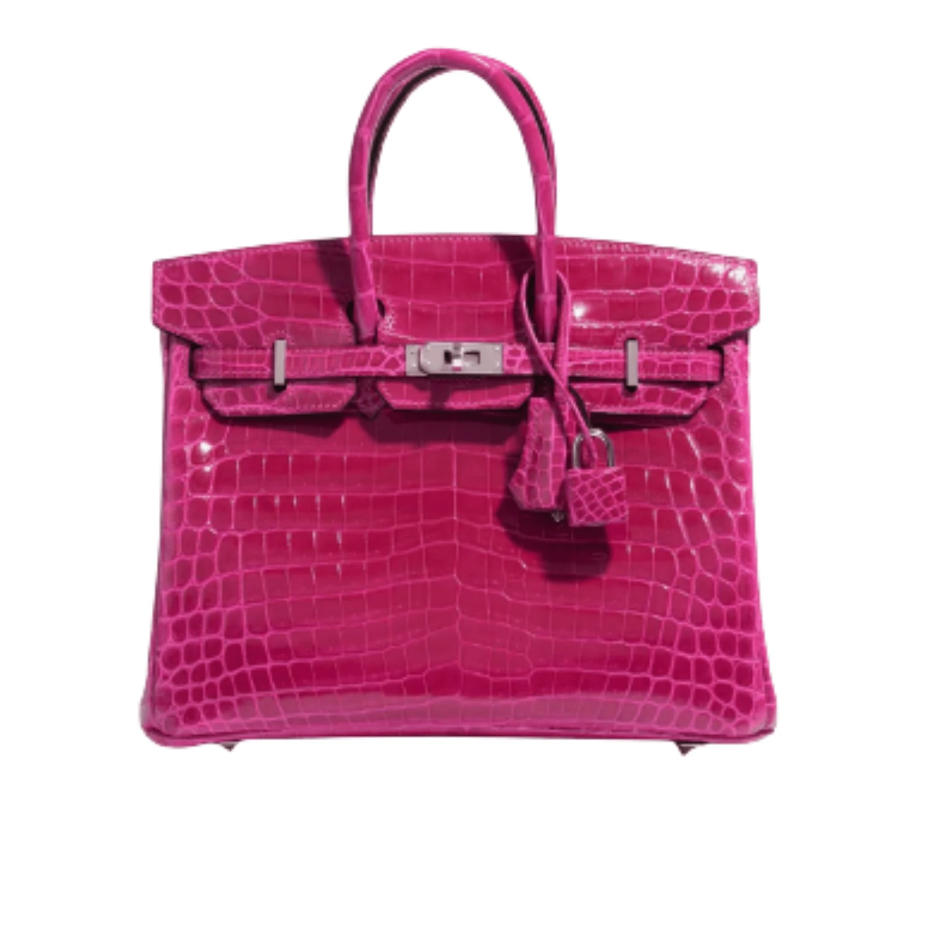 Hermès Birkin Croc (GEN-4F629489)