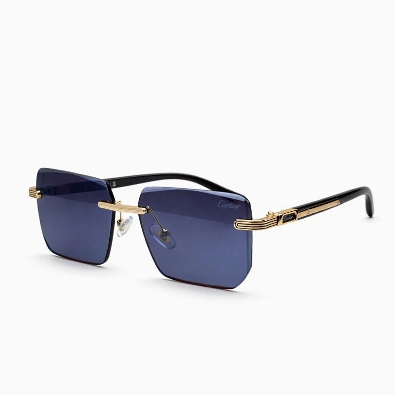 Cartier — Tortoiseshell Sunglasses
