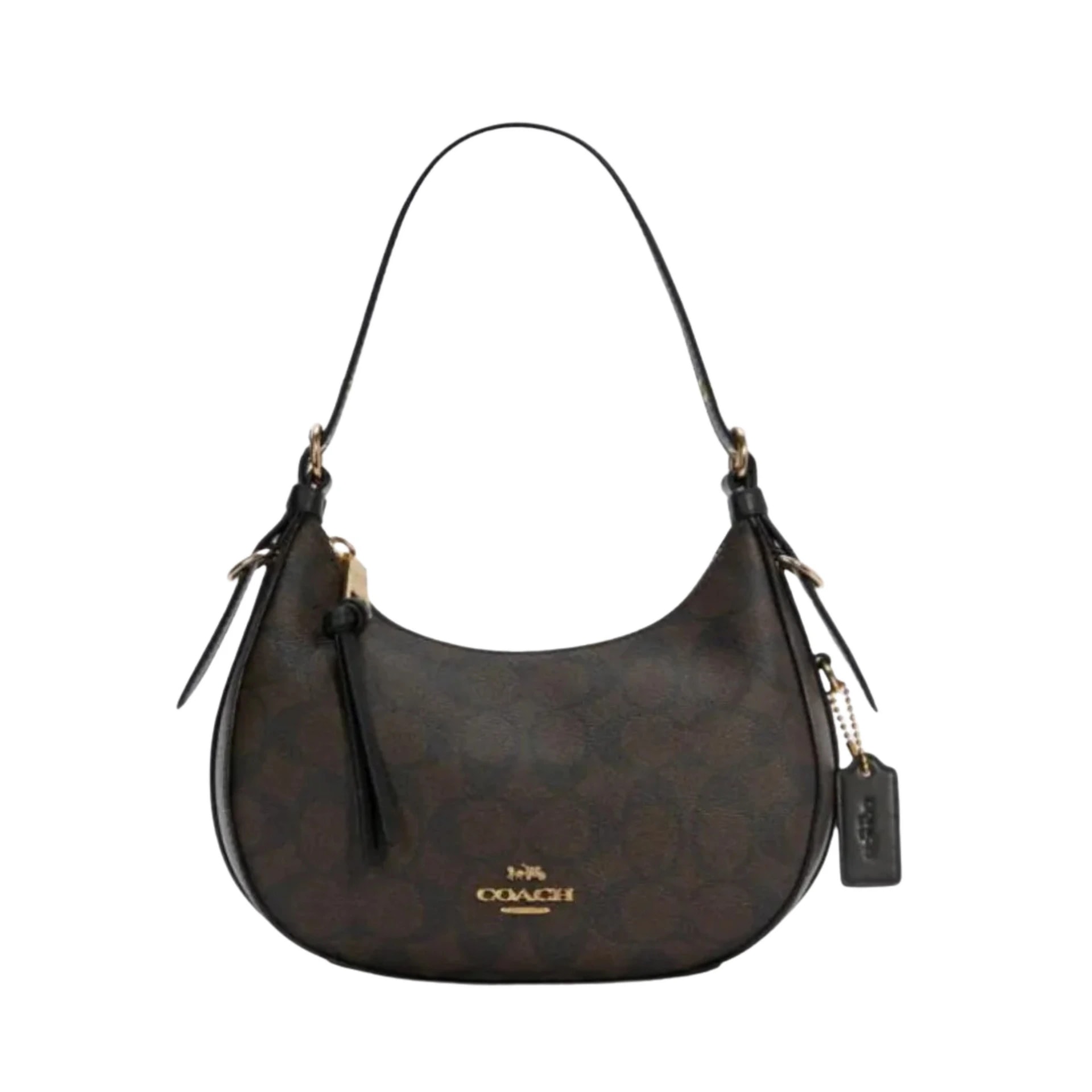 Coach Kleo Hobo Signature Canvas Chestnut Beige