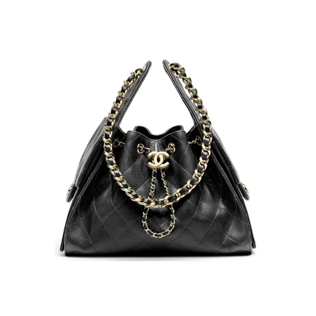 Chanel Hobo 25 Small