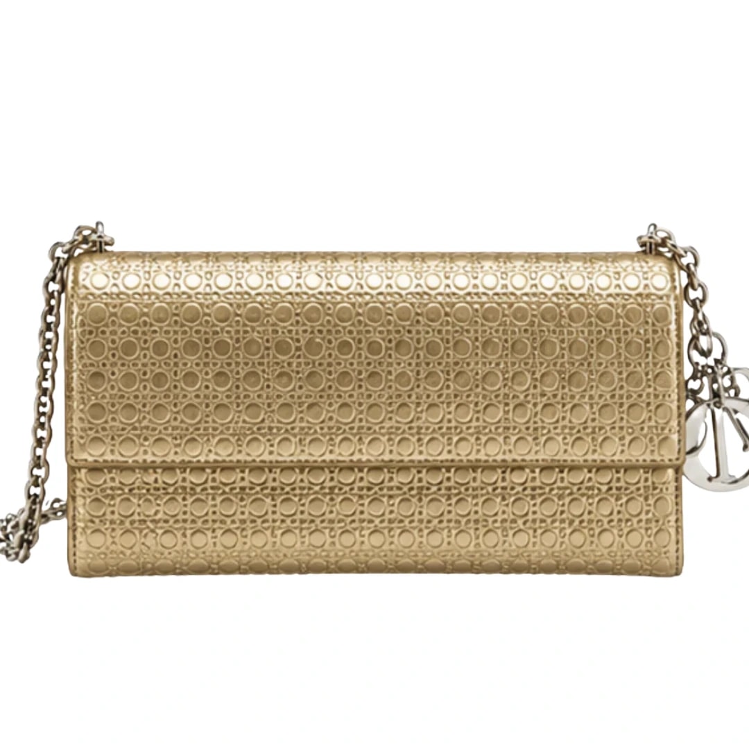Dior Promenade Pouch (GEN-EBA1C160)