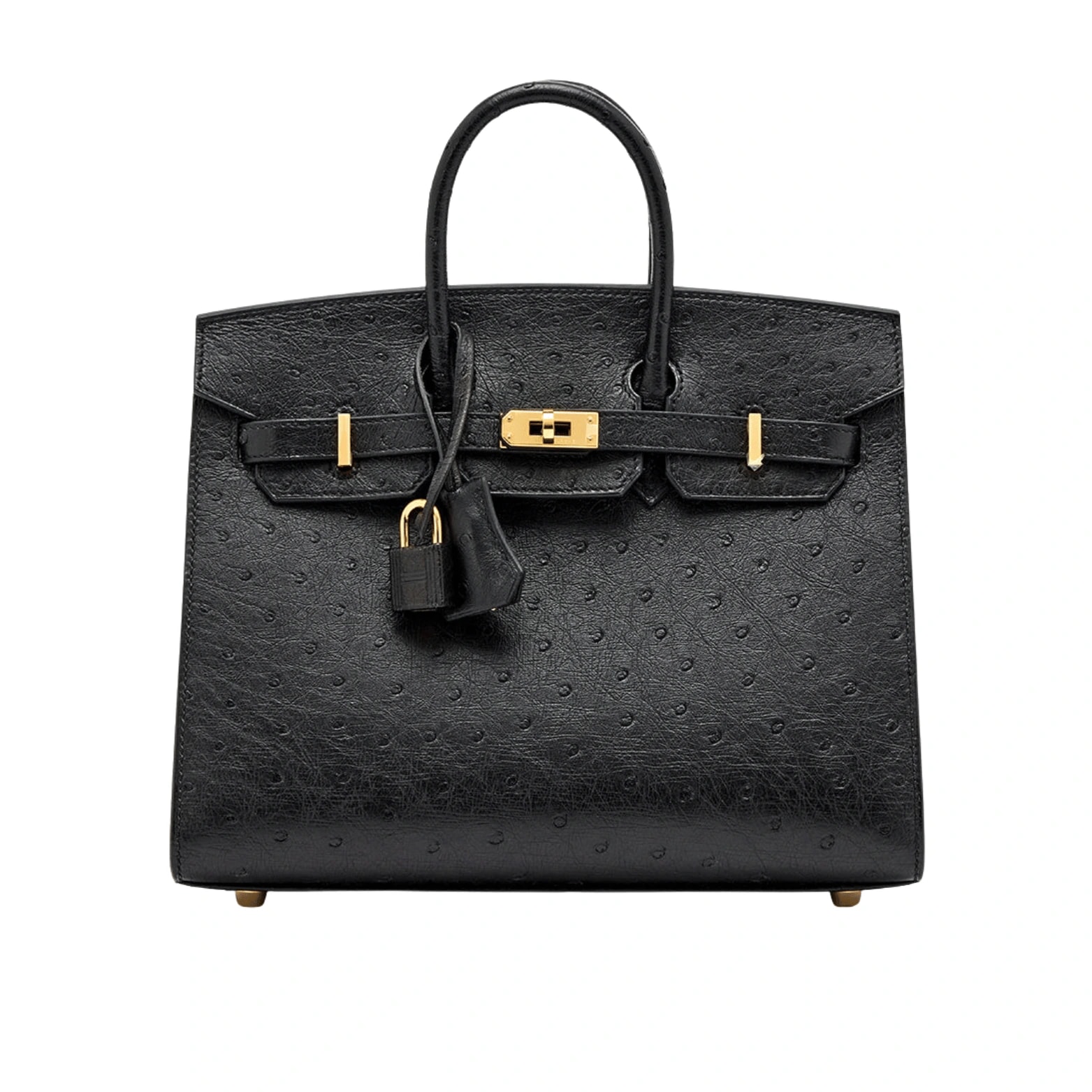 Hermès Birkin (GEN-6A703A5D)